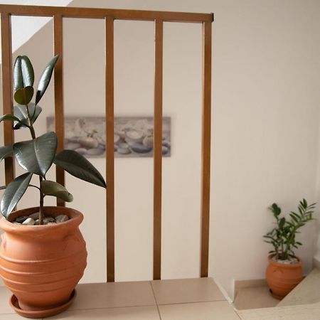 Nikorina Apts Lefkáda Zewnętrze zdjęcie